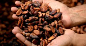 history of chocolate